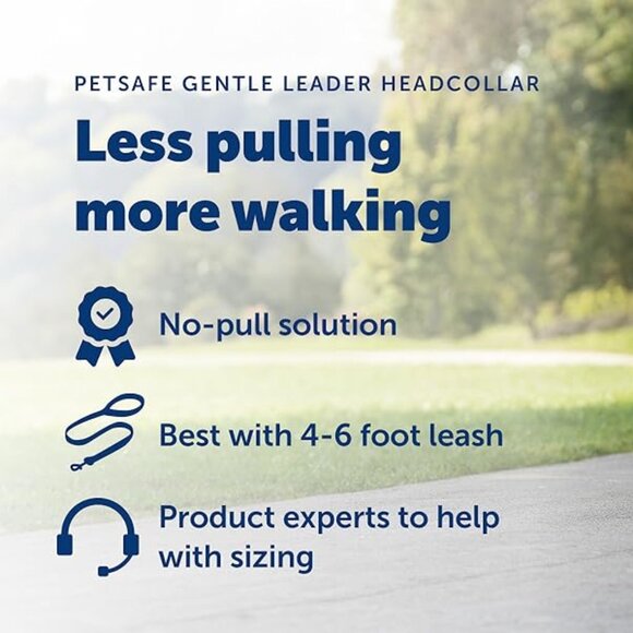 GENTLE LEADER~ Head Collar- Stop Pulling, Lunging, Jumping- MED- Black- With DVD - Picture 8 of 12